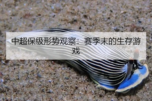 zhong-chao-bao-ji-xing-shi-guan-cha-sai-ji-mo-de-sheng-cun-you-xi-2-807.jpg